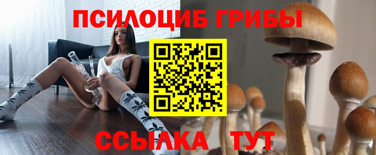 Елец  Псилоцибиновые грибы мухоморы  Вход с VPN 